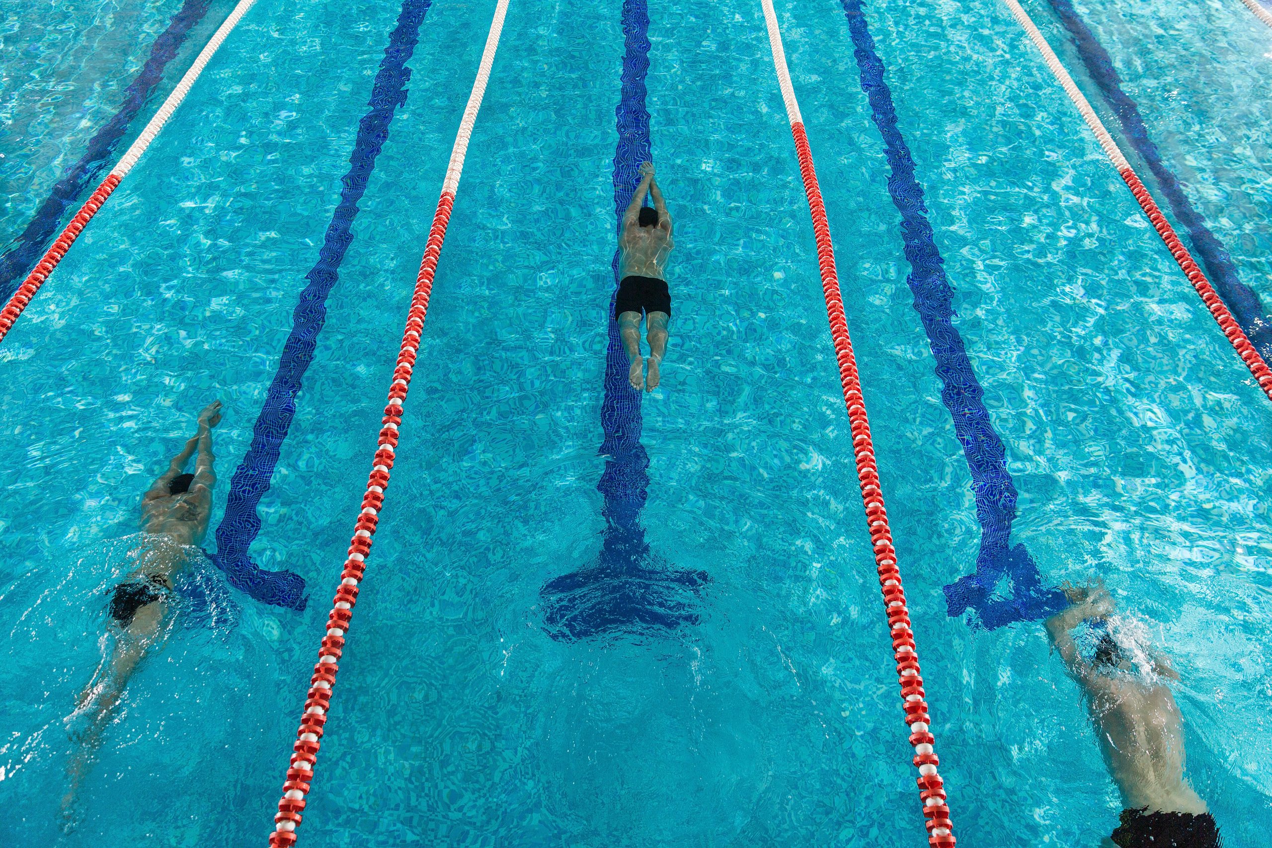 Top view of three male swimmers